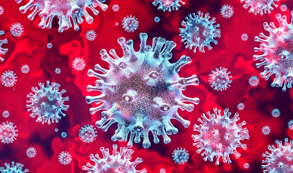 Wuhan Coronavirus:  An Emerging Global Pandemic?